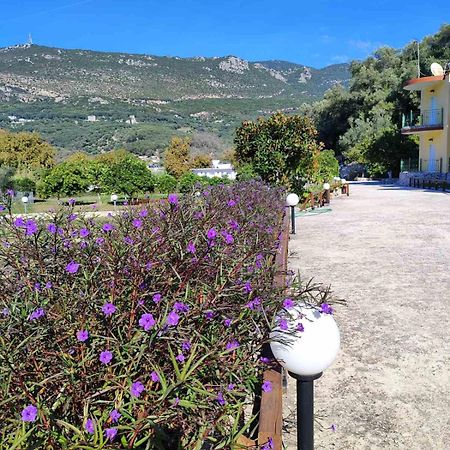 Villa Perkemes Apartments Parga Eksteriør billede
