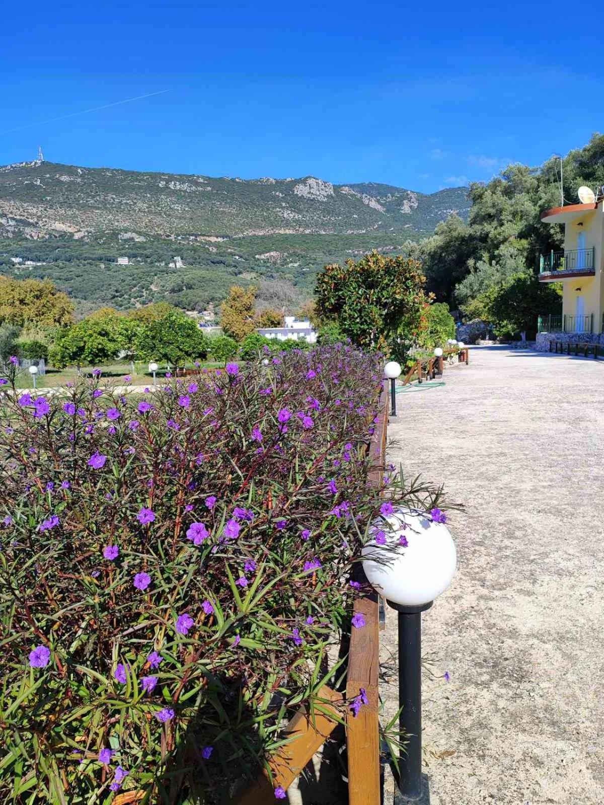 Villa Perkemes Apartments Parga Eksteriør billede